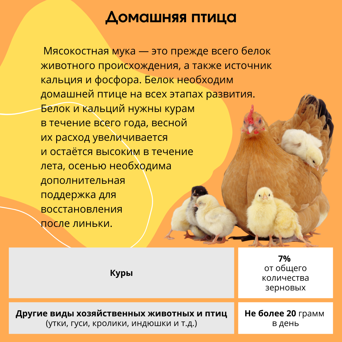 Мясокостная мука, кормовая добавка для животных 1 кг - фотография № 11