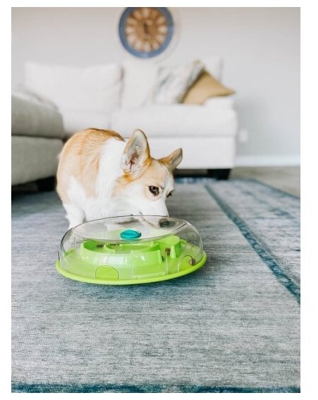 Игрушка для собак Petstages Миска-головоломка ОН Wobble Bowl раскачивающаяся для медленного поедания корма (0.5 кг) - фотография № 4