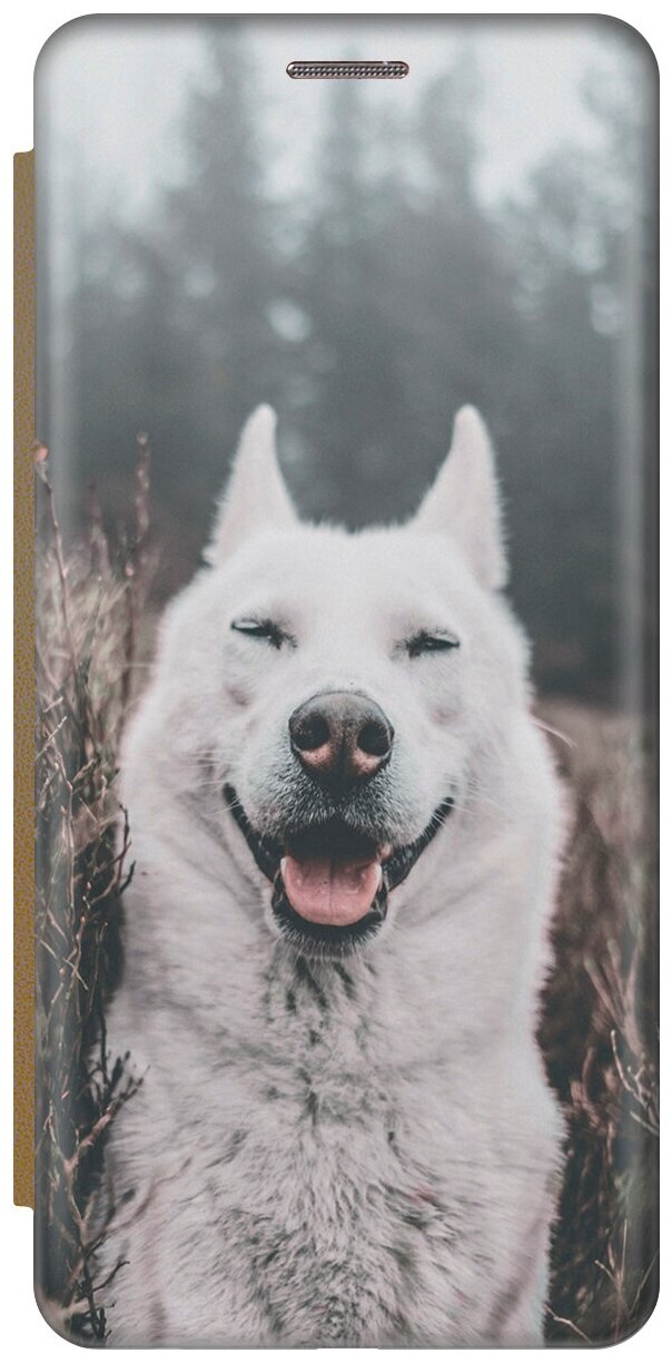 Чехол-книжка на Apple iPhone XR / Эпл Айфон Икс Эр с рисунком "Довольный пес" золотистый