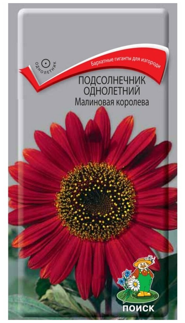Подсолнечник "Поиск" Малиновая королева однолетний 0,5г