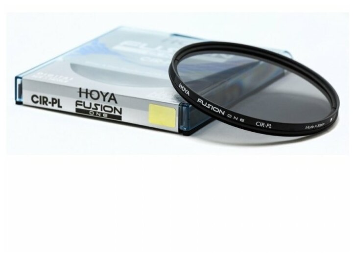 Hoya - фото №2