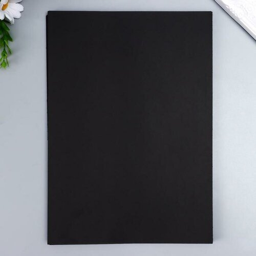 Лист для фотоальбома 205х29 см30 шт 651₽