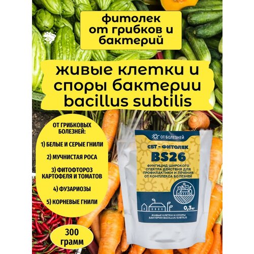 Фунгицид СБТ-Фитолек BS26 (300гр). Биопрепарат от болезней растений сбт фитолек