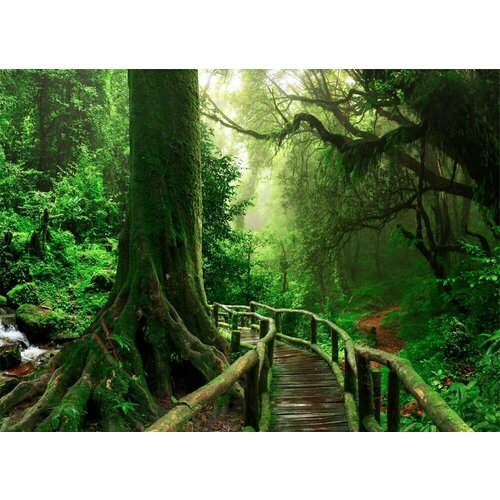 Моющиеся виниловые фотообои Деревянный мостик в лесу, 400х290 см моющиеся виниловые фотообои деревянный мостик в лесу 300х290 см