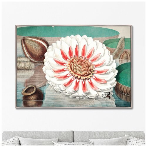 Репродукция картины на холсте A gigantic water lily in bloom, 1870г. Размер картины: 75х105см репродукция картины на холсте the lightness of being no3 2021г размер картины 75х105см