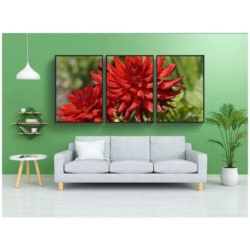 фото Набор модулных постеров для интерьера "георгины, красный, расцветает" 60x90 см. в тубусе, без рамки lotsprints