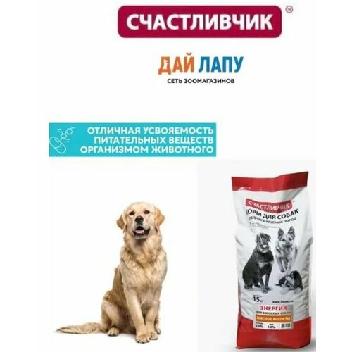 Корм для активных собак сухой, Счастливчик, энергия, Мясное ассорти, 15 кг
