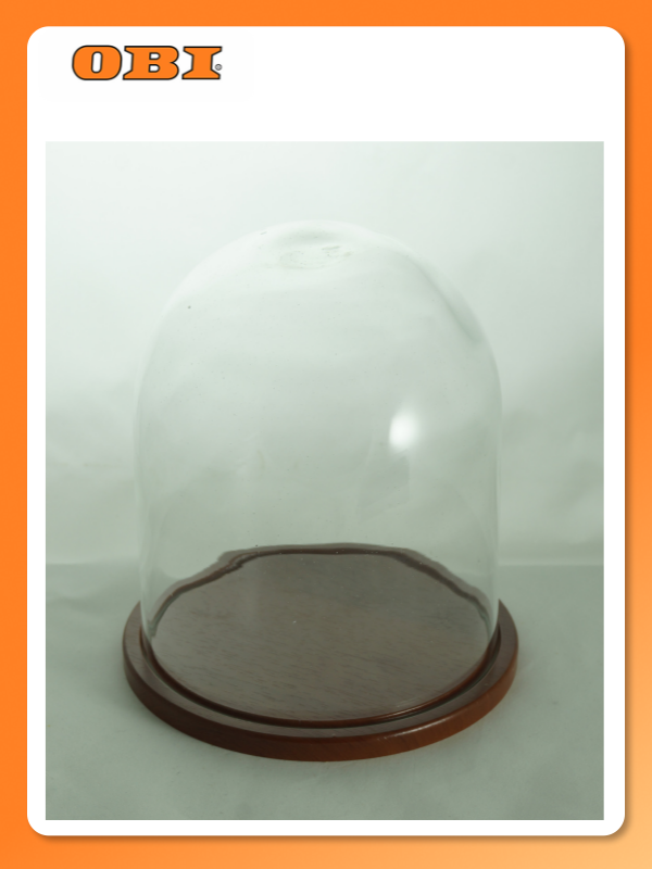 Колпак Evis Венсан 1  настольный  прозрачный  коричневый  на деревянной подставке