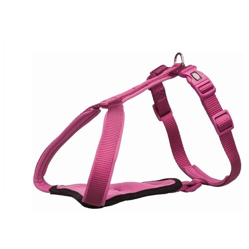 Шлейка Premium Y-harness, XL–XXL: 95–120 см/25 мм, орхидея