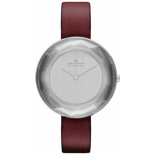 Наручные часы SKAGEN SKW2273, серебряный наручные часы skagen skw1080 розовый белый