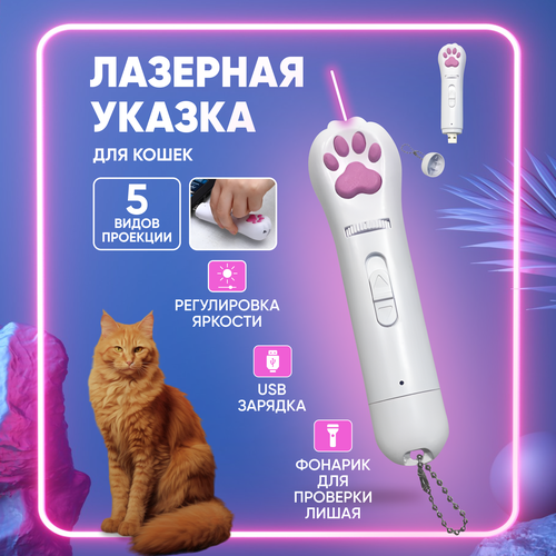 лазерная указка для кошек и собак с usb зарядкой Лазерная указка для кошек / Игрушка для кошек / Лазер дразнилка с usb