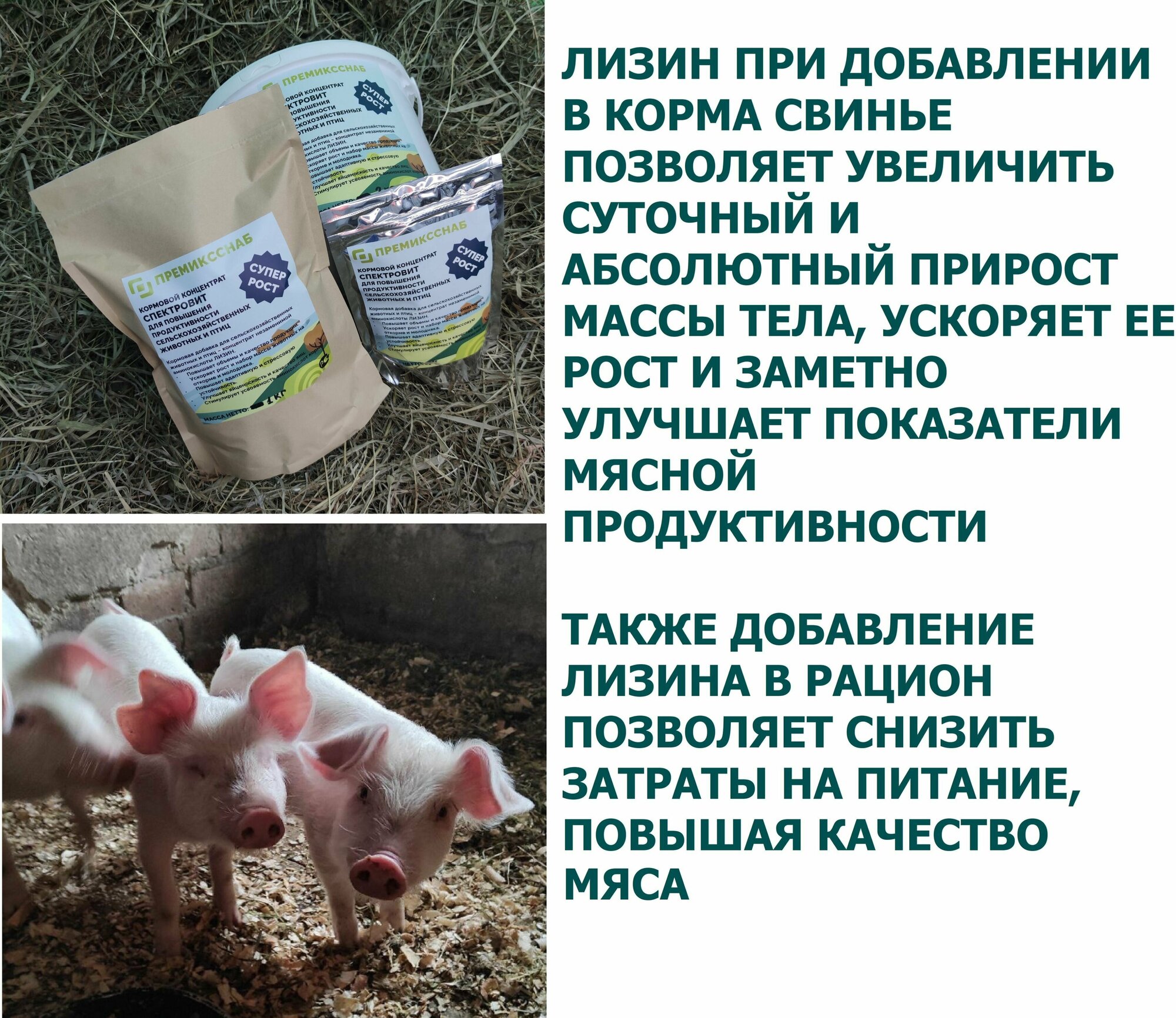 Лизин кормовой концентрат для повышения продуктивности с/х животных и птиц - фотография № 4