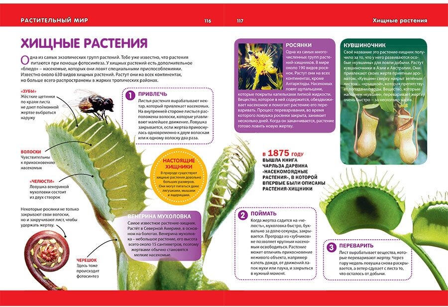 Большая детская энциклопедия. Лучший подарок школьнику - фото №15
