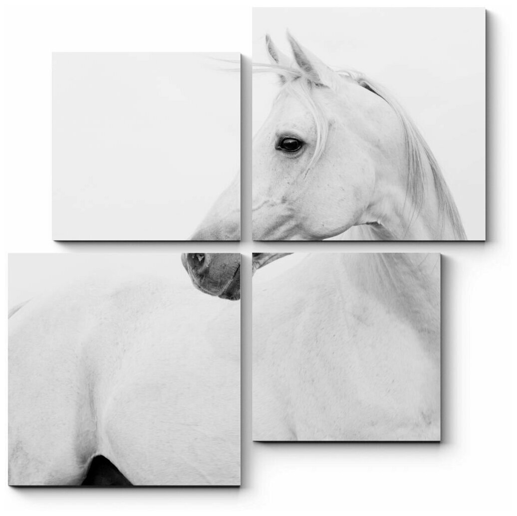 Модульная картина Белая лошадка100x100