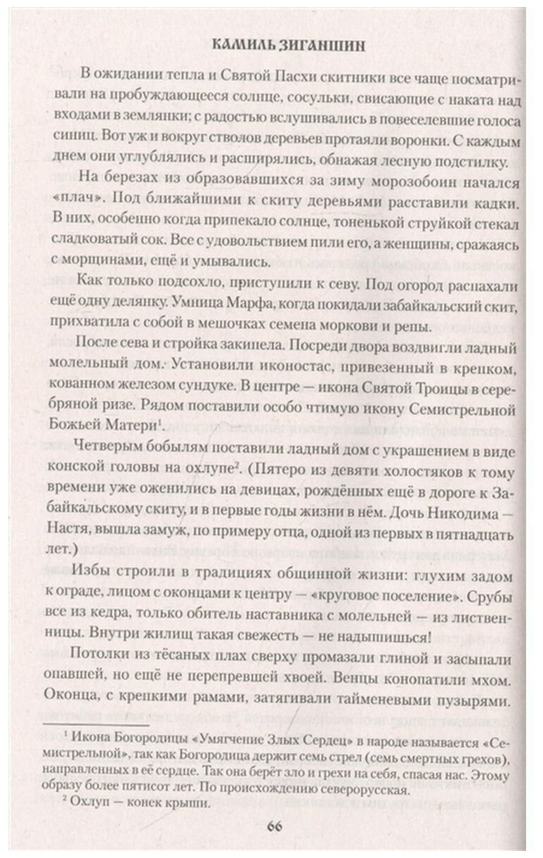 Скитники (Зиганшин Камиль Фарухшинович) - фото №5