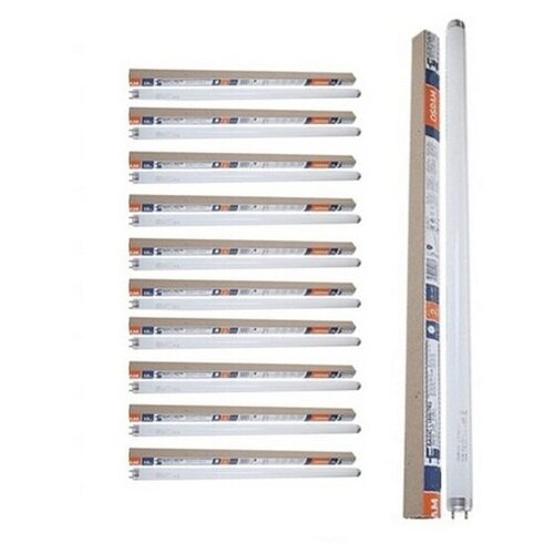 фото Лампа люминесцентная osram l 36w/765 t8 g13, 10 шт.
