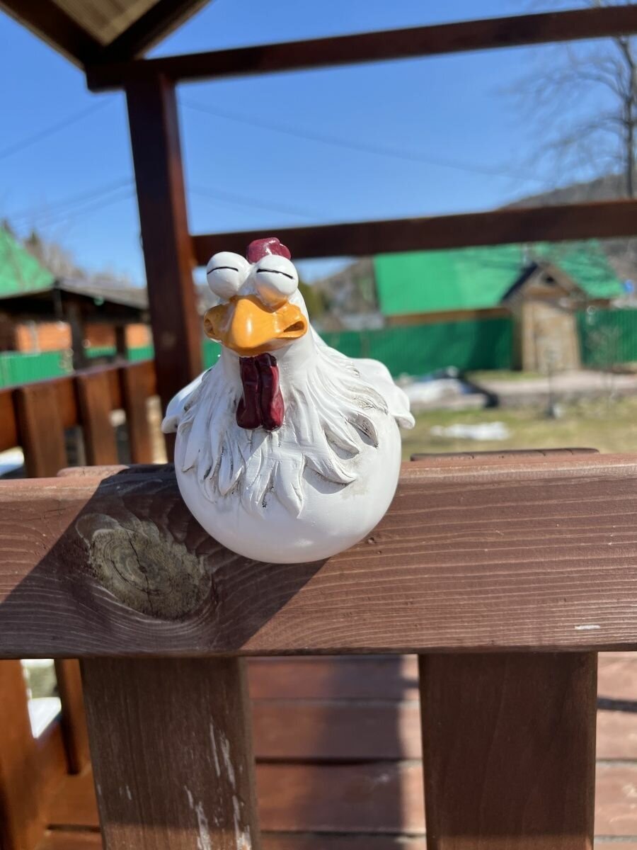 Курица на забор - фотография № 12