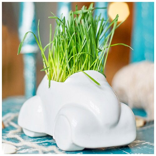 Набор для выращивания Экочеловеки Машина