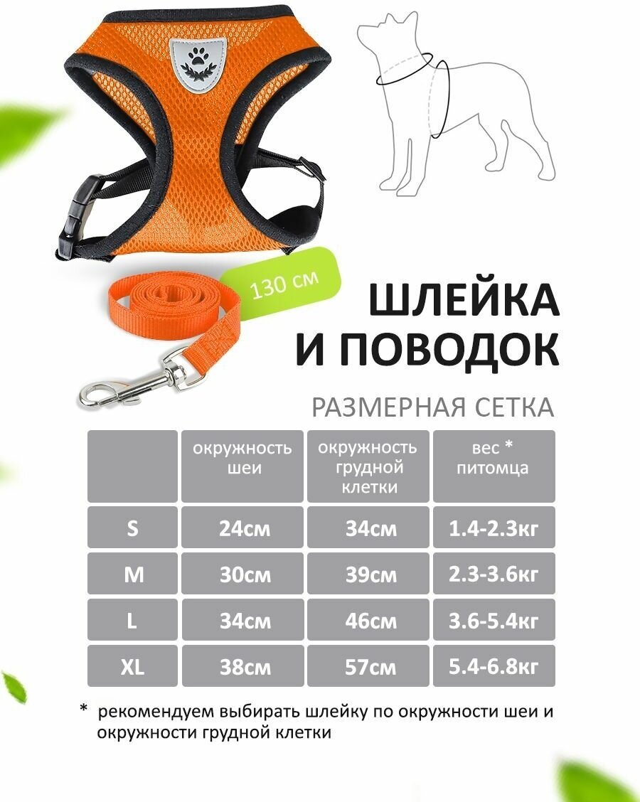 Шлейка для кошек и собак с поводком 130 см со светоотражающими элементами — фото 1
