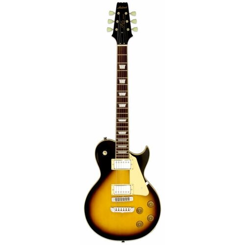 ARIA PE-350STD AGBS Гитара электрическая, 6 струн aria pe 350cst agwh гитара электрическая 6 струн