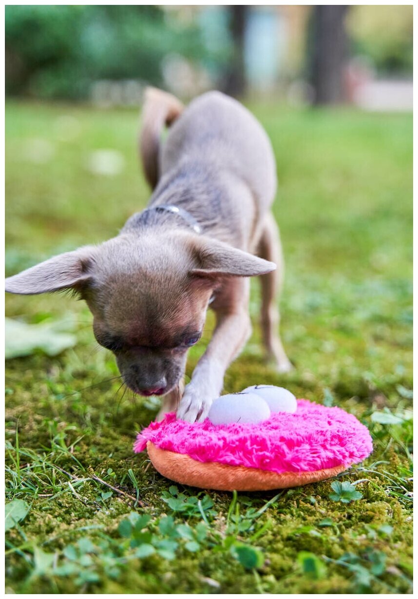 Игрушка для собак Japan Premium Pet Фрисби пушистый, розовый. - фотография № 6