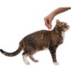 Фото #16 Elanco Капли от чесоточных клещей, блох и гельминтов для кошек до 4 кг