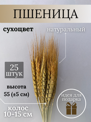 Букет сухоцветы пшеница сухие колоски (Цвет: натуральный)