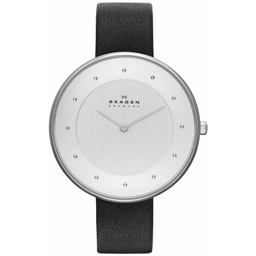 Наручные часы Skagen SKW2232