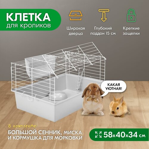 Клетка для кроликов PetTails №1 складная, шаг прута до 25мм, 58*40*h34см (+миска, 2 кормушки) светло-серый-бел