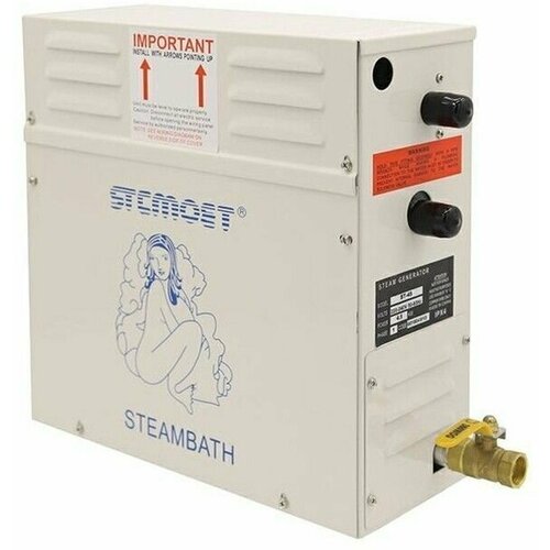 Парогенератор 2106500₽