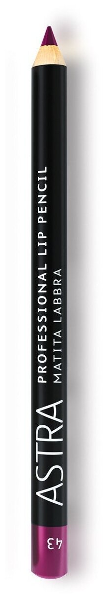 Контурный карандаш для губ PROFESSIONAL LIP PENCIL 43, вишневый
