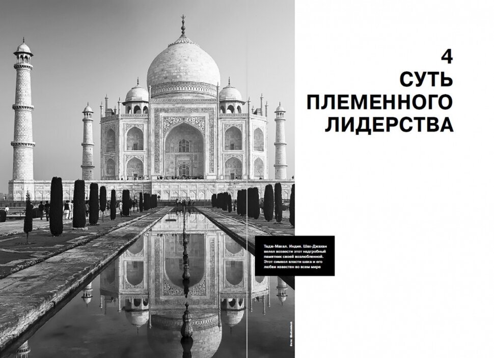 Как управлять корпоративным племенем: Прикладная антропология для топ-менеджера - фото №11