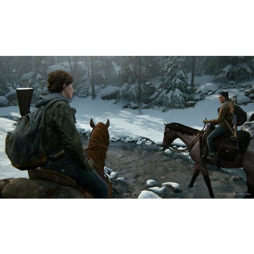 Игра Одни из нас: Часть 2 The Last of Us Part II для PlayStation 4 (Русская версия)