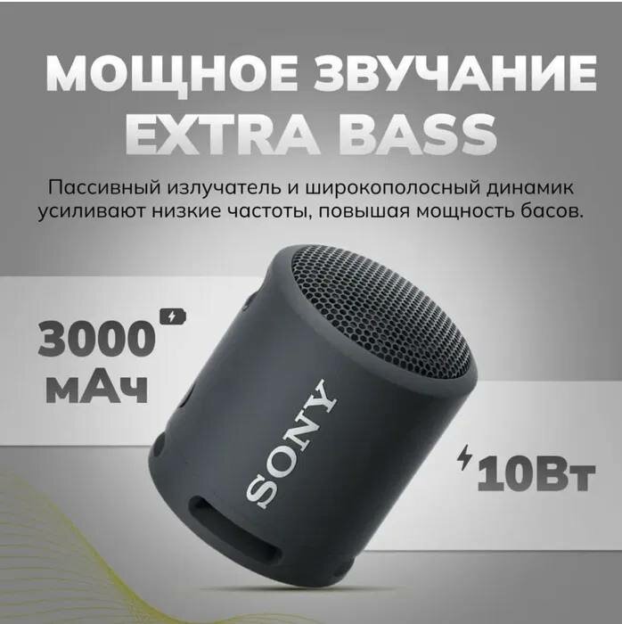 Портативная колонка Extra Bass 10 Вт SRS 13 XB, черная