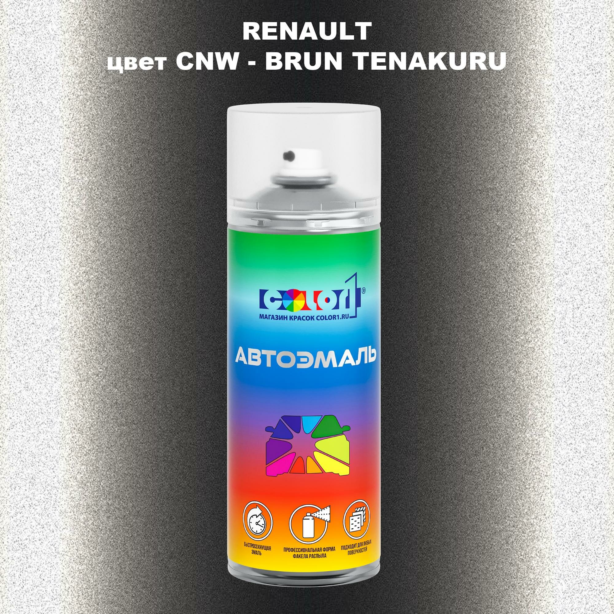 Аэрозольная краска COLOR1 для RENAULT, цвет CNW - BRUN TENAKURU