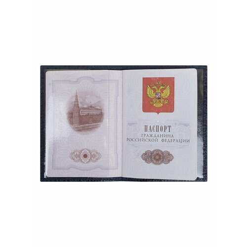 Обложка для паспорта Franchesco Mariscotti Обложка в стиле минимализм, синий