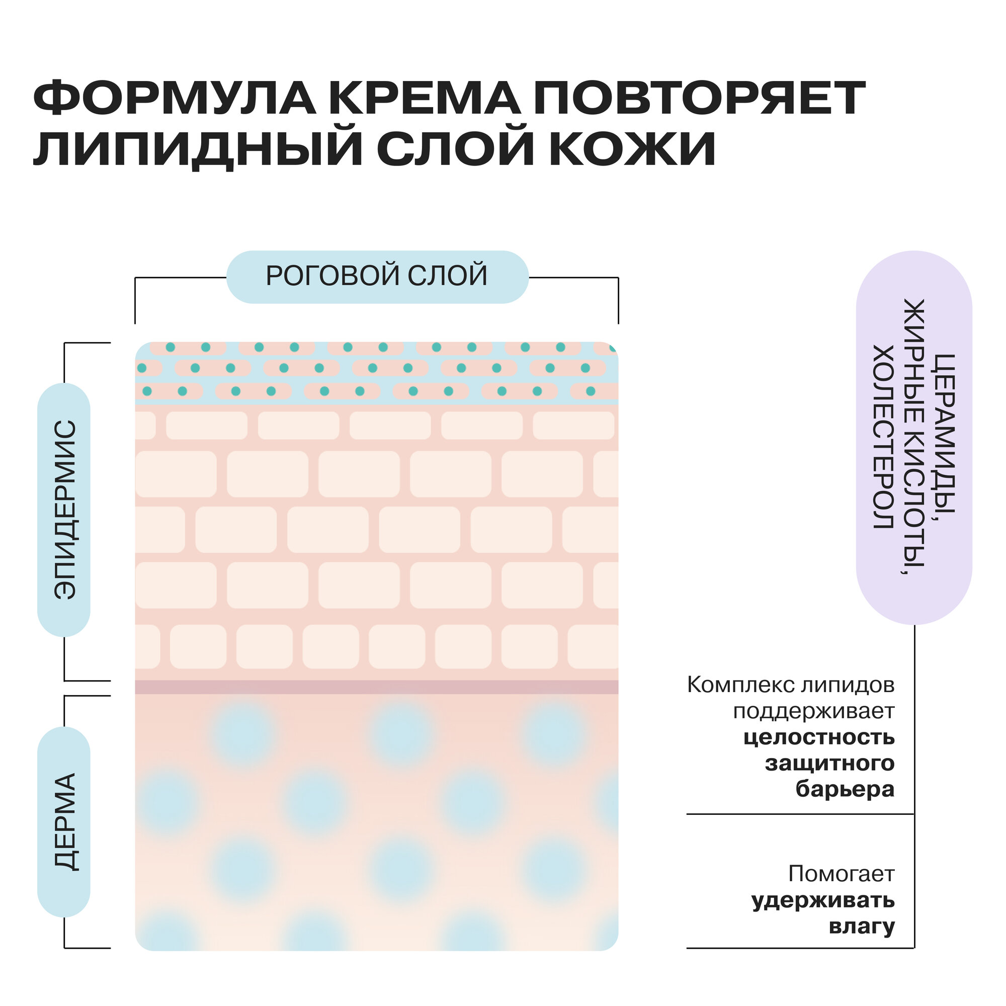 Восстанавливающий крем для всех типов кожи Openface Know Your Lipids — фото 1