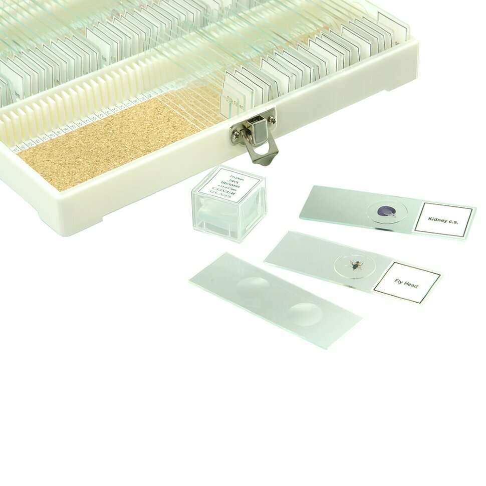 Набор готовых микропрепаратов Микромед №80 — фото 1