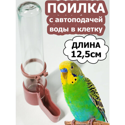 Автопоилка БРИЛЛИАНТ "Непроливайка", для птиц, попугаев, коричневая