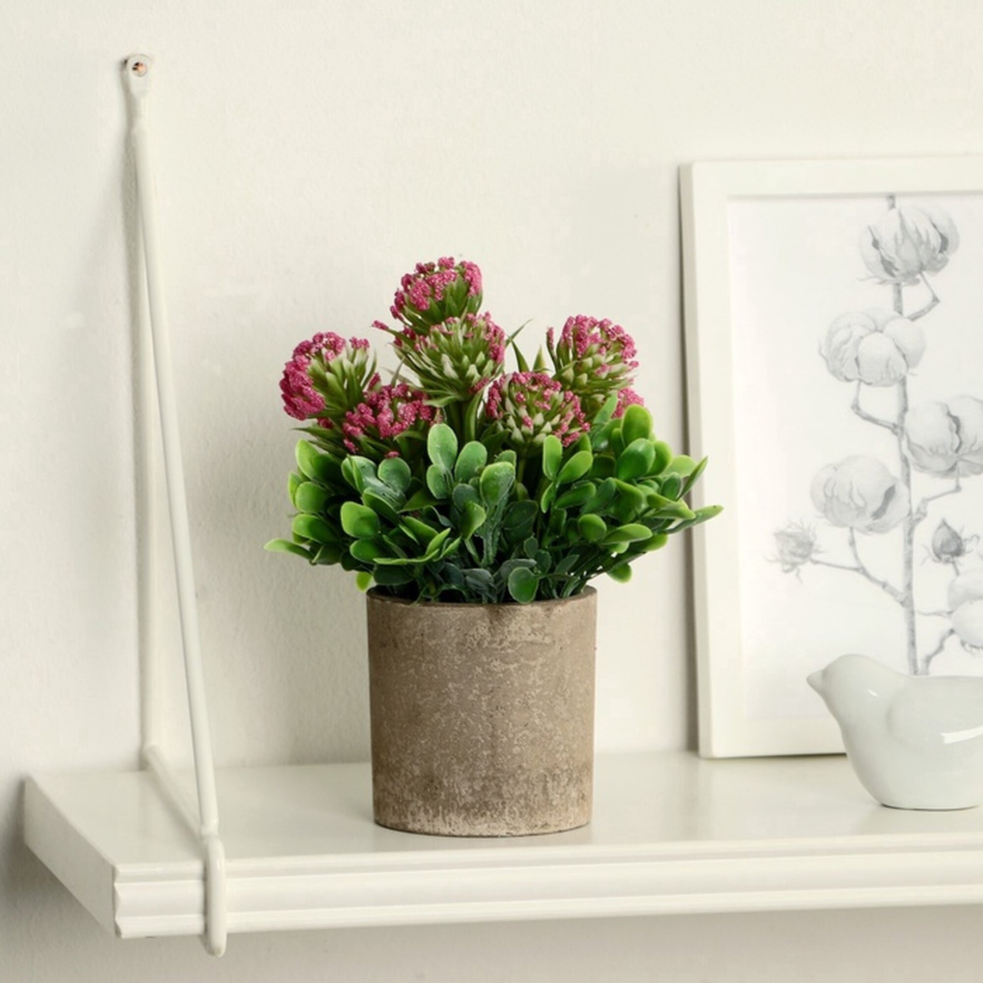 Бонсай в горшке «Агапантус» 8×18 см микс