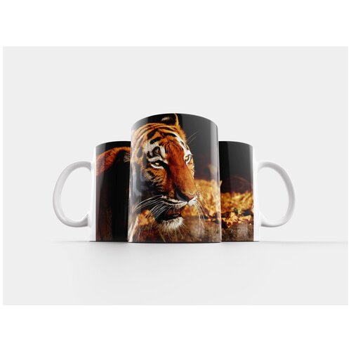 фото Кружка "тигр, хищник, женский пол" 320 мл lotsprints