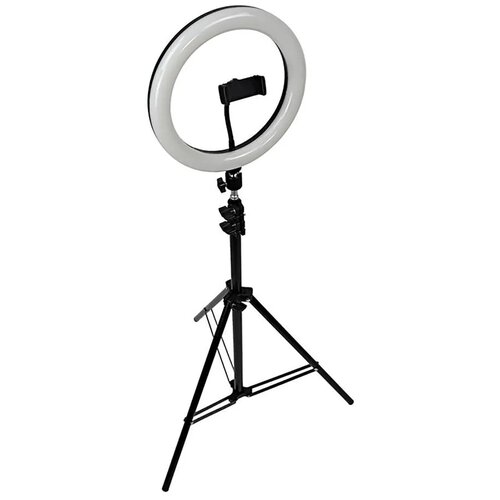фото Кольцевой осветитель walker wlr-2610 со штативом для профессиональной съемки, 26 см, белый свет / кольцевая лампа со штативом, лампа для селфи, для фото и видео, led лампа, кольцо