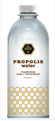 Питьевая родниковая детокс вода SiENERGY Propolis water,12 штук по 0,5 л