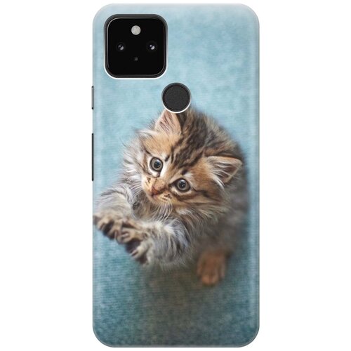 фото Re:pa чехол - накладка artcolor для google pixel 5 с принтом "котёнок на голубом"