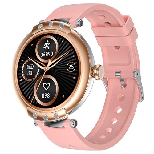 BandRate Smart BRSFR98GGR 799200₽