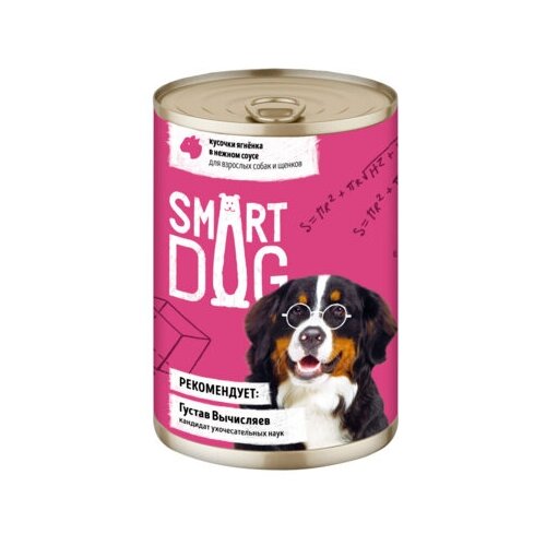 Smart Dog консервы Консервы для взрослых собак и щенков кусочки ягненка в нежном соусе 22ел16 43733 0,24 кг 43733 (15 шт)