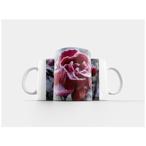 фото Кружка "природа, зима, цветок" 320 мл lotsprints