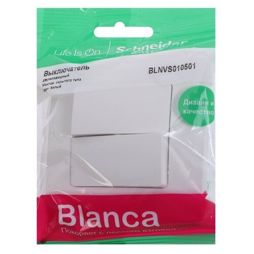 Выключатель с рамкой Systeme Electric Blanca BLNVS010501 двухклавишный скрытая установка белый выключатель с рамкой systeme electric blanca blnvs010507 двухклавишный скрытая установка бежевый ip20