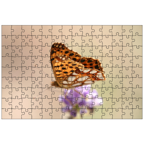фото Магнитный пазл 27x18см."бабочка, крыло, прекрасный цветок" на холодильник lotsprints
