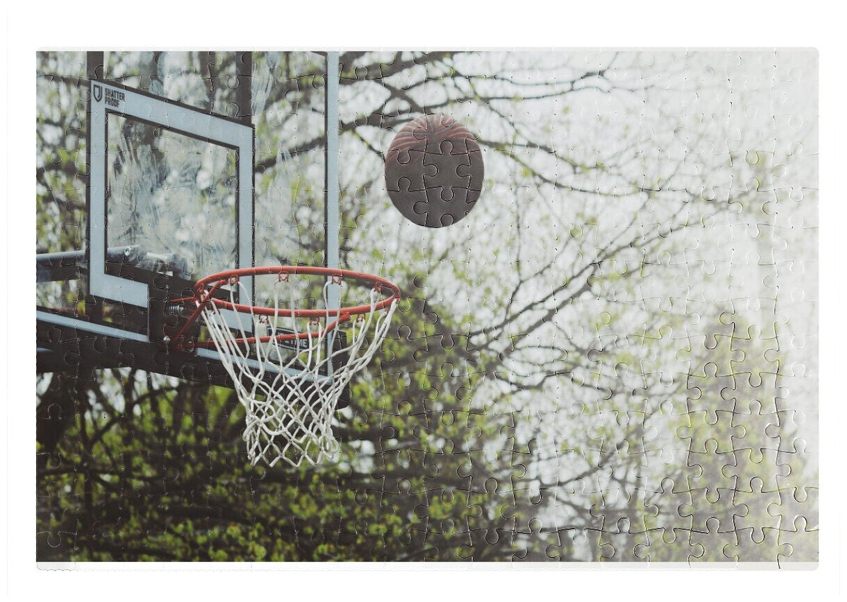 Пазлы CoolPodarok Баскетбол Баскетбольный мяч летит в сетку 26х38см 252 элемента